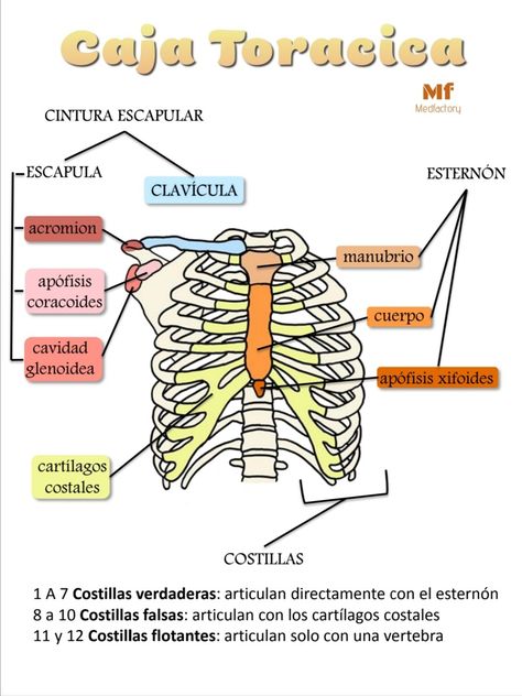 Facebook:medfactorymf Instagram:@medfactory_mf Med Notes, Ideal Gas Law, Ideas Notes, Panda Coloring Pages, Electron Configuration, Maren Morris, Employee Training, Practical Magic, Animal Coloring Pages