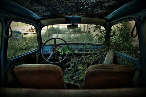 Rust In Peace, Plants Growing, Abandoned Cars, Old Car, Back To Nature, Abandoned Houses, Car Photography, Old Trucks, Back Seat