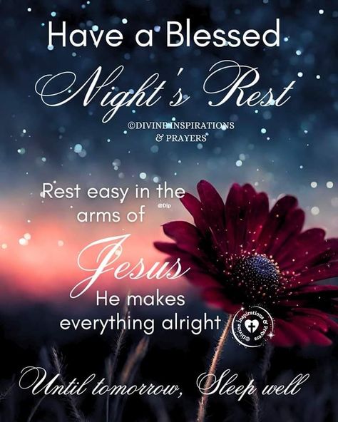 Blessings Quotes Family, Good Night Dear Friend, Have A Blessed Night, Good Night Blessings Quotes, Christmas Greetings Quotes, Happy Easter Pictures, Goodnight Quotes Inspirational, Good Morning Wishes Gif, Blessed Night