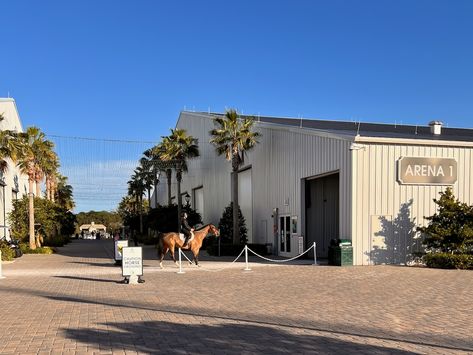 A rider on a horse crossing from on Arena to another at the World Equestrian Center in Ocala, Florida. Tropical Horse Stables, Horse Rehabilitation Center, World Equestrian Center Ocala, World Equestrian Center, Terranova Equestrian Center, Equestrian Estate Horse Farms, Hotel Corridor, Equestrian Events, Ocala Florida