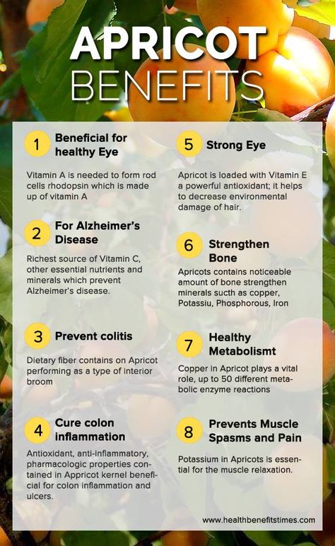 How To Eat Apricot Seeds, Health Benefits Of Apricots, Benefits Of Apricots, Apricot Kernels Benefits, Dried Apricots Benefits, Apricots Benefits, Apricot Seeds Benefits, Apricot Oil Benefits, Apricot Health Benefits