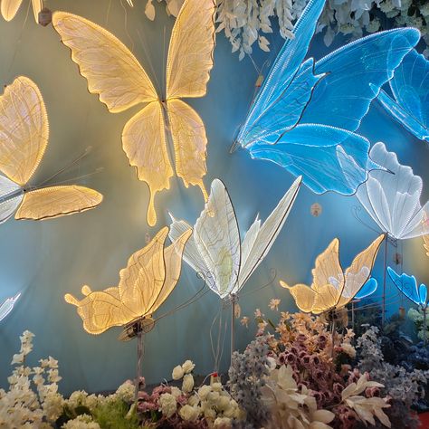 Open and close the butterfly moving butterfly wedding decoration butterfly wings https://m.alibaba.com/product/1600784659685/Open-and-close-the-butterfly-moving.html?__sceneInfo={"cacheTime":"1800000","type":"appDetailShare"} Light Up Butterfly Wings, Floating Butterfly Decor, Moving Butterfly, Make A Paper Flower, Led Butterfly, Butterfly Wedding Decorations, Giant Butterfly, Butterfly Light, Butterfly Lighting