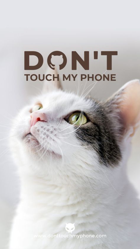 Dont Touch My Phone Cat Wallpaper, Wallpaper Cool Aesthetic, Couple Cats Wallpaper, Ducky Bhai, Don't Touch My Phone Wallpapers, Cute Cats Wallpaper, Don't Touch My Phone Wallpapers Cute, Tapetum Lucidum, Cute Cat Quotes