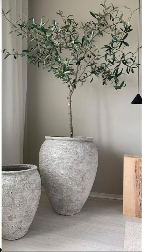 Indoor Olive Tree, Indoor Tree, Earthy Home, Faux Olive Tree, Foyer Decor, Thrift Flip, Organic Modern Decor, Olive Tree, Organic Modern