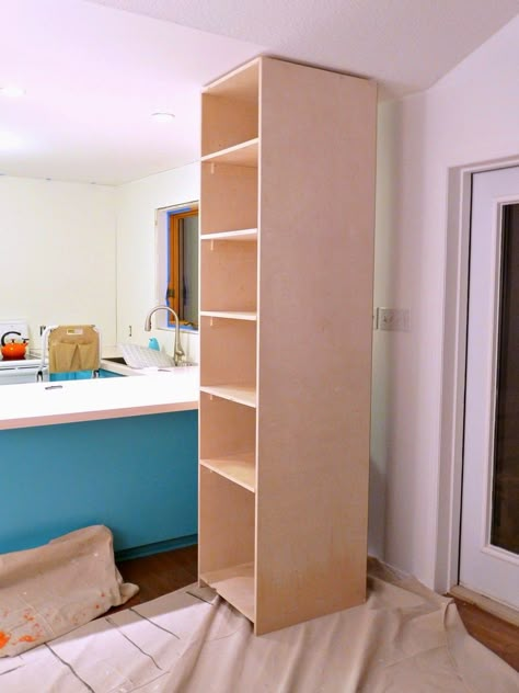 Kitchen Progress: DIY Pantry Cabinet + Working Around the Weirdness Diy Wood Cabinet Storage, How To Build A Tall Cabinet, Diy Plywood Cabinets, Diy Food Pantry Cabinet, How To Build Pantry Cabinets, Diy Kitchen Pantry Cabinet How To Build, Easy Diy Pantry Cabinet, Diy Pantry Cabinet Small Spaces, Pantry Cabinet Plans