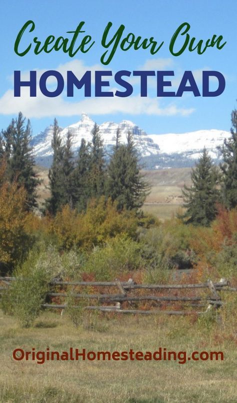 Create Your Own Homestead Homestead Land, Environmentally Friendly Living, Homesteading For Beginners, Homesteading Diy, Homestead Life, Chicken Houses, Homesteading Ideas, Raise Chickens, Dairy Goats