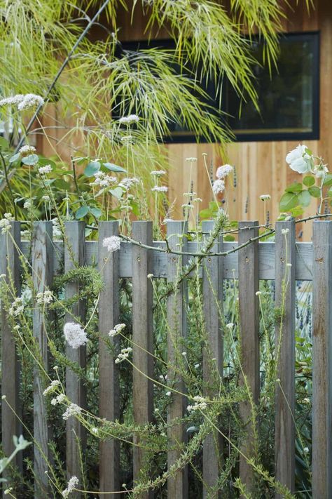 10 Best DIY Garden Fence Ideas - Fresh Exchange Vines On House Exterior, Diy Garden Fence Ideas, Cheap Garden Fencing, Garden Fence Ideas, Diy Garden Fence, Natural Fence, Cheap Fence, Front Fence, Diy Fence