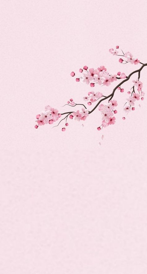 Iphone Wallpaper Cherry Blossom, Cherry Blooms Wallpaper, Cherry Blossom Homescreen, Cherry Blossom Lockscreen, Sakura Blossoms Wallpaper, Cherry Blossom Phone Wallpaper, Sakura Wallpaper Aesthetic, Pink Japanese Wallpaper, Cherry Blossom Wallpaper Aesthetic