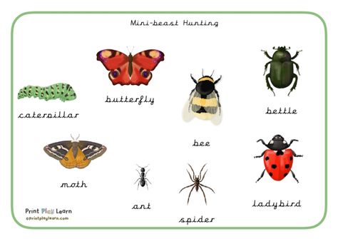 Mini-beast Word Mat - Printable Teaching Resources - Print Play Learn  Mini-beast Word Mat  Here’s a beautiful word mat to support the learning of different types of insects. These illustrations are by Ink + Tot and are just beautiful.  Look out for many montessori resources – to support leanring of real life animals and insects.  An Early Years (EYFS) and Primary School printable teaching resource.  Print Play Learn #printplaylearn #insectfinder #wordmatforhome Montessori Resources, Mini Beasts, Learning Cursive, Beautiful Word, Display Lettering, Learning Printables, Free Teaching Resources, Book Corners, Learning Science