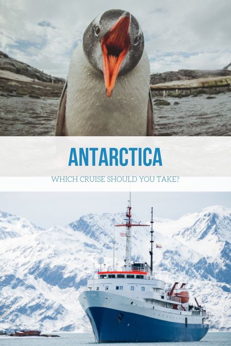 Antarctic Cruise, Canon R7, Cruise Itinerary, Antarctica Cruise, Make Your Choice, 7 Continents, Ushuaia, I Choose, Choose The Right