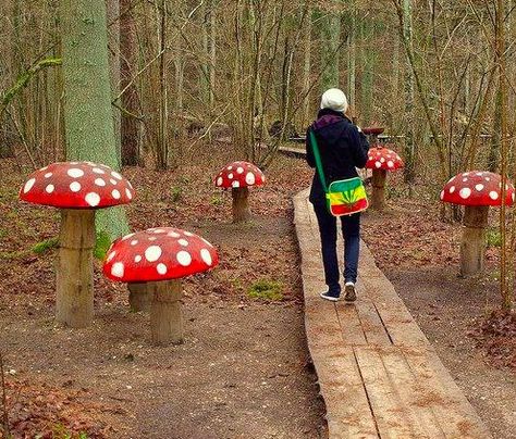 If you're mad about mushrooms, why not add this whimsical touch to your outdoor space? In The Woods, Bridge, Walking