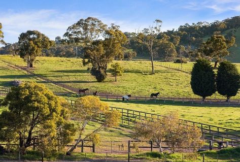 Dream Horse Barns, Horse Facility, Riding Arenas, Built In Robes, Acres Of Land, Horse Property, Southern Hospitality, Horse Stables, Land Of The Free