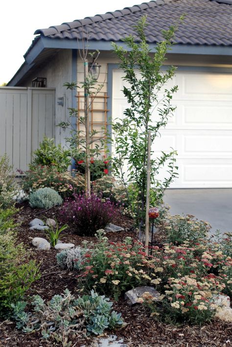 Lawnless Front Yard Garden - Gardenista Front Yard Orchard Design, Lawnless Front Yard, Lawnless Landscaping, Driveway Garden Ideas, No Lawn Front Yard, No Grass Front Yard, Front Yard Hedges, Driveway Garden, Dream Garden Backyards