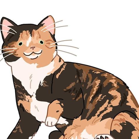 Tortoise Shell Cat Drawing, Tortoiseshell Cat Drawing, Tortie Cat Drawing, Calico Cat Drawing, Sammy Savos, Calico Cat Art, Cats Calico, Tortie Cat, Cat Tattoo Simple