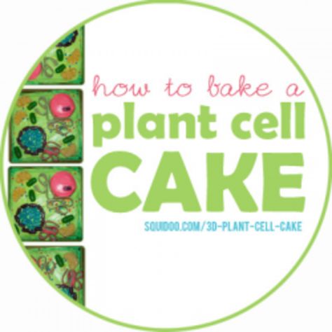 Step-by-step instructions for baking a fun, scientifically accurate plant cell cake. Plant Cell Cake With Candy, 3d Cell Project, Plant Cell Cake, 3d Plant Cell, Edible Cell Project, Cell Cake, 3d Animal Cell, Plant Cell Project, Edible Cell