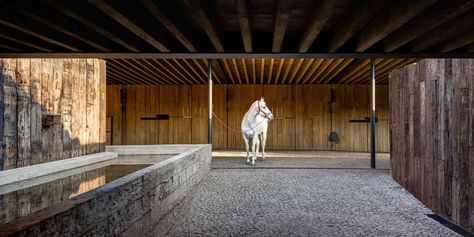 Ecuestrian Project Equestrian Center, Equestrian Facilities, Stables Design, Dream Barn, Barn Ideas, Horse Blankets, Landscape Features, Horse Stables, Horse Barns