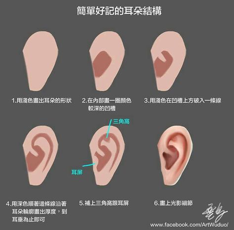 Ear Coloring Tutorial, How To Shade Ears, View From Above Reference, Ear Rendering, Ear Shading, Ears Drawing, How To Draw Ears, Anatomy Sculpture, Ear Art