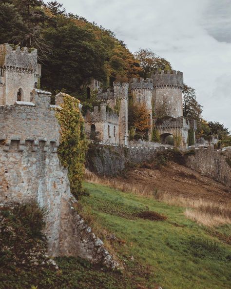 FUCKITANDMOVETOBRITAIN Ethereal Aesthetic Nature, Gwrych Castle, Nature Cottagecore, Castle Mansion, Ethereal Aesthetic, Castle Ruins, Aesthetic Nature, Uk Travel, Beautiful Buildings