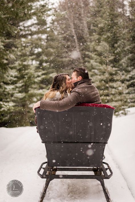 Sleigh Pictures Christmas, Sleigh Photoshoot Photo Ideas, Christmas Sleigh Photoshoot, Sleigh Photoshoot, Sleigh Christmas Photoshoot, Santa Sleigh Photoshoot, Sled Photoshoot, Sleigh Ride Photoshoot, Sleigh Ride Aesthetic