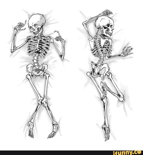 Body Pillow Anime, Skeleton Body, Pillow Drawing, Cool Skeleton, Skeleton Model, Pillow Cases Diy, Body Pillow Case, Diy Pillow Covers, Human Skeleton