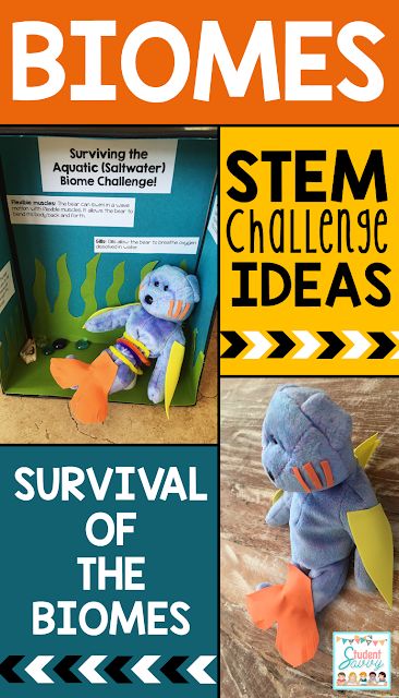 Biome STEM Challenge! Environmental Careers, Biomes Activities, Life Science Projects, Biomes Project, Ecosystems Projects, Remote Teaching, Teaching Freebies, Geography Worksheets, Biology Classroom