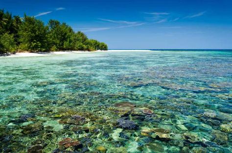 Image                   Karimun, Java. Indonesia Karimun Java, Karimun Jawa, Indonesia Tourism, Central Java, Relaxing Vacations, Natural Park, Travel Board, Tropical Islands, Archipelago