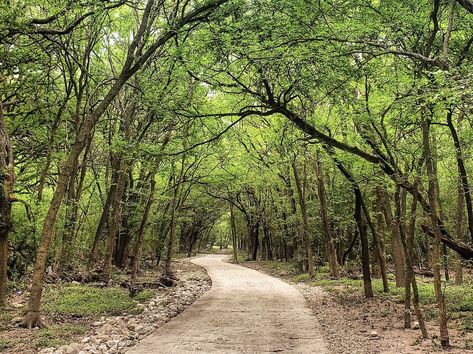 25 hidden gem parks in San Antonio everyone should visit | San Antonio | San Antonio Current Visit San Antonio, Sunken Garden, Community Park, Spring Resort, Off The Beaten Path, Public Spaces, Enjoy Nature, World's Fair, Skate Park