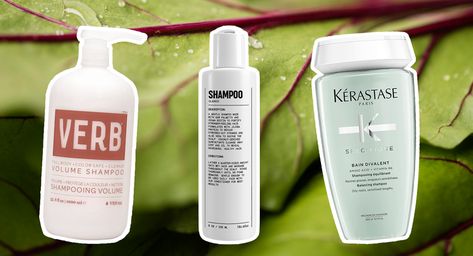 16 Best Shampoos for Fine Hair in 2023 Amika Shampoo, Fine Hair Care, Oribe Shampoo, Shampoo For Fine Hair, Best Shampoo, Greasy Hair, Thickening Shampoo, Oily Scalp, Greasy Hair Hairstyles