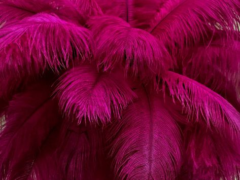 "This listing is for 10 pieces of bleached and dyed magenta ostrich drabs feathers. These ostrich body feathers range in size from 17-19 inches with wispy hair-like feathers coming out from the stiff quill in the center of the plume. This type of feather is called ostrich drabs and is the body feathers from an ostrich. You can use these feathers in wedding bouquets, carnival decoration, floral arrangements, Halloween costume, headbands, Holiday trimmings, Mardi Gras costume, mask making, party d Magenta Wedding Decorations, Magenta Wedding, Eiffel Tower Vases, Great Gatsby Theme, Carnival Decorations, Wispy Hair, Feather Centerpieces, Gatsby Theme, Mardi Gras Costumes