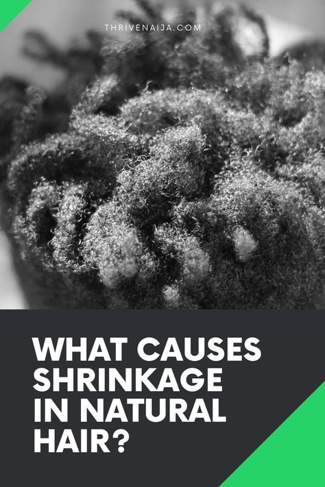 Should you worry about natural hair shrinkage? Here's what we think!!! Natural Hair Shrinkage, Shrinkage Natural Hair, Growing Long Natural Hair, Hair Shrinkage, Hair Porosity, 4c Natural, 4c Natural Hair, Hair Guide, Healthy Natural Hair