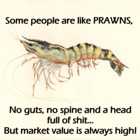 some people are like prawns Funny Words To Say, Well Said Quotes, Cute Quotes For Life, Cute Images With Quotes, Fake People, Genius Quotes, Insightful Quotes, Funny Words, Good Thoughts Quotes