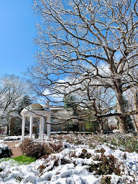 University Of North Carolina Chapel Hill, Unc Chapel Hill Aesthetic, Lawyer School, Campus Aesthetic, North Carolina Chapel Hill, Spring Moodboard, Moodboard Pics, They Grow Up So Fast, College Home