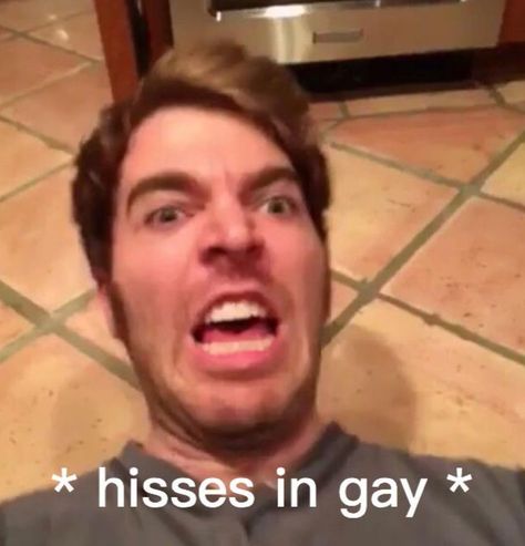 Jimmy Jr, Shane Dawson Memes, Bi Memes, Gay Meme, Pictures Friends, Lgbt Memes, Super Funny Pictures, Reaction Memes, Gay Memes