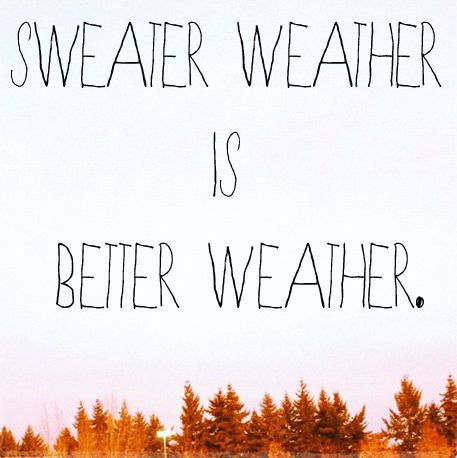 Sweater weather is better weather. Cold Weather Quotes, Hate Summer, Weather Quotes, Autumn Quotes, Fabulous Fall, Happy Fall Y'all, Happy Fall, Fall Thanksgiving, Sweater Weather