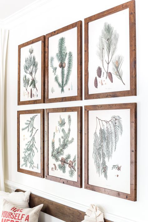 Winter Botanical Gallery Wall Printables | blesserhouse.com - A Christmas entryway bench and a free downloadable set of winter evergreen botanical prints for a printable gallery wall #christmasprintable #christmasentryway #botanicalprints #gallerywall Diy Botanical Prints, Printable Winter Art, Winter Wall Art Diy, Christmas Wall Art Printables, Winter Botanicals, Free Botanical Prints, Botanical Gallery Wall, Botanical Christmas, Gallery Wall Printables