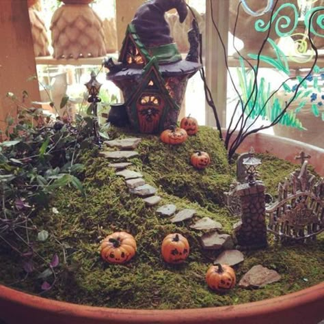 Halloween Fairy Garden Diy Halloween Fairy Garden, Fairy Garden Design Ideas, Halloween Fairy Garden, Halloween Diorama, Fairy Garden Ideas, Halloween Decor Diy, Fairy Garden Kit, Fairy Garden Designs, Halloween Fairy