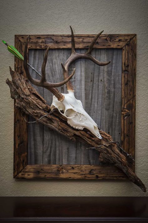 Deer Mount Ideas, European Mounts, Antler Ideas, Deer Antler Decor, European Mount, Deer Heads, Antlers Decor, Antler Decor, Antler Crafts