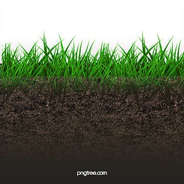 clipart rumput,padang rumput,tanah,latar belakang,clipart tanah Positive Backgrounds, Cacing Tanah, Grass Clipart, Green Grass Background, Grass Background, Easter Backgrounds, Mountain Background, Grasses Landscaping, Cartoon Painting