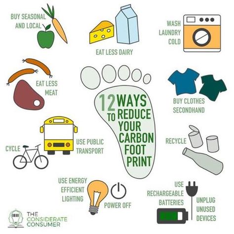 Ways To Reduce Carbon Footprint, How To Reduce Carbon Footprint, Reduce Carbon Footprint Poster, Consumer Health Poster, Carbon Footprint Poster, Footprint Poster, Green Marketing, Reducing Carbon Footprint, Instagram Projects