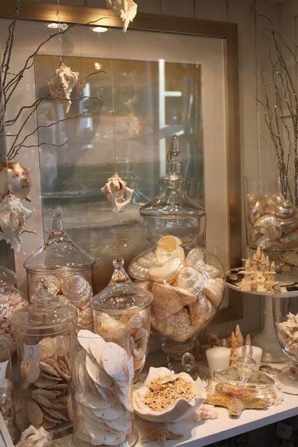 Awesome way to display shells. Starfish Display Ideas, Seashell Party, Apothecary Display, Beauty Display, Seashore Decor, Seashell Display, Seashell Collection, Shell Display, Vibeke Design