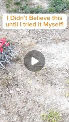 Handyman Dan - U Can Build This on Instagram: "How to Grow Grass in Only a FEW Days! #garden #lawn #lawncare #lawnmaintenance" How To Grow Grass, Yard Hacks, Propagate Plants, Planting Grass, Garden Hacks Diy, Garden Grass, Growing Grass, Garden Remedies, Diy Garden Fountains