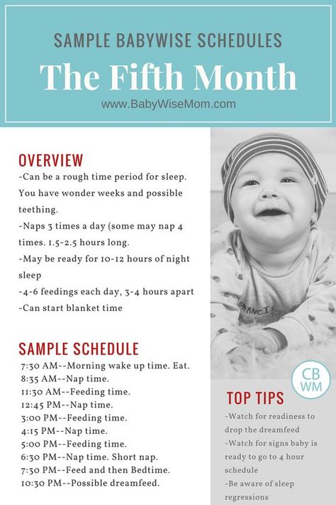 Babywise Sample Schedules: The Fifth Month | baby schedule | sample baby schedules | babywise | babywise schedules | #babywise Babywise 5 Month Schedule, Babywise Schedule, Sleep Chart, Wonder Weeks, Baby Wise, Newborn Schedule, Baby Schedule, Baby Sleep Schedule, Baby Kicking