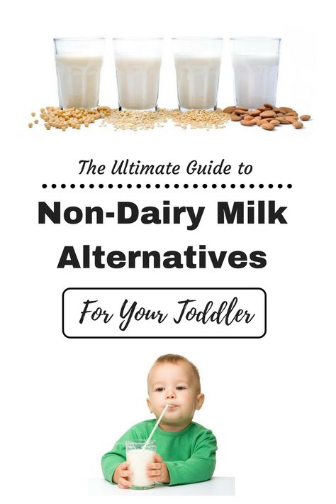 The Ultimate Guide to Non-Dairy Milk Alternatives for Your Toddler - Hot & Sour Non Dairy Milk, Introducing Milk To One Year Old, Non Dairy Milk Alternatives, Healthiest Milk Alternative, Cows Milk Protein Allergy Baby, Cows Milk Allergy, Cows Milk Protein Allergy, Dairy Allergy, Milk Allergy