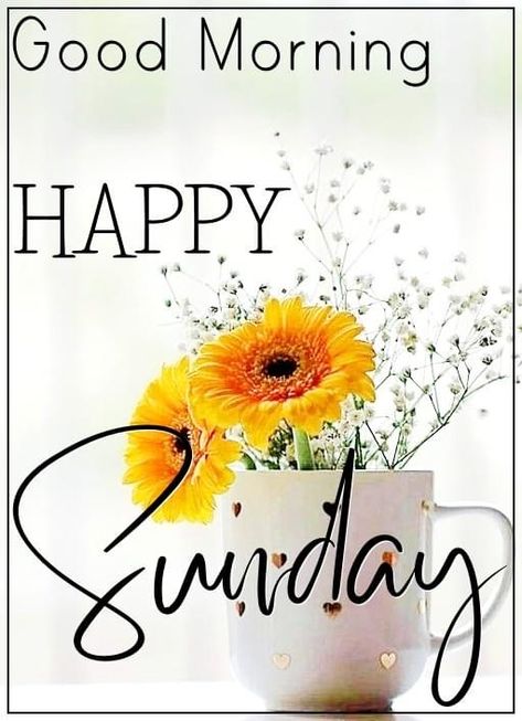 Sunday Morning Greetings, A Blessed Sunday, Good Morning Animals, Sunday To Saturday, Have A Blessed Week, Sunday Greetings, Have A Blessed Sunday, Blessed Week, Have A Great Sunday