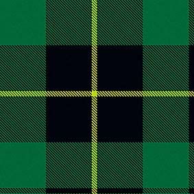 Wallace Hunting (Ancient Colours) Tartan Tartan Blanket, Fantasy Wardrobe, Family Heritage, Tartan Fabric, Wall Papers, Cross Stitch Kits, Kilt, Ox, Craft Kits