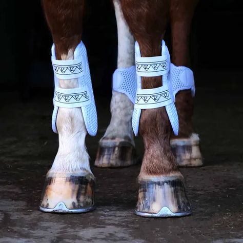 Equilibrium New Tri-Zone Open Fronted Tendon Boots - White Tendon Boots, Travel Boots, Horse Boots, Show Jumping, Injury Prevention, Black Boots, Boots, White