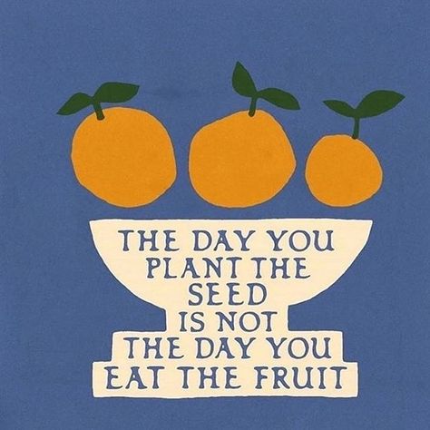 "The day you plant the seed is not the day you eat the fruit." #quotes #weresoinspired Plakat Design Inspiration, 2023 Vision, Manifestation Board, Classroom Environment, Happy Words, 2024 Vision, Note To Self, Pretty Words, The Words