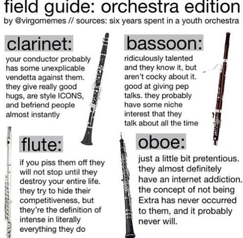 Flute Stereotypes, Band Humor Flute, Bassoon Memes, Clarinet Jokes, Flute Jokes, Flute Memes, Clarinet Humor, Musician Jokes, Marching Band Jokes