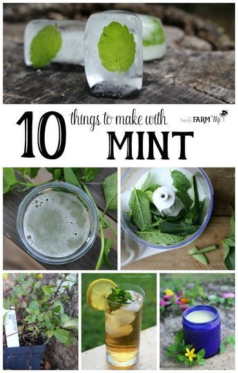 Mint Recipes Fresh, Mint Herb, Stomachache, Arreglos Ikebana, Peppermint Plants, Types Of Herbs, Herb Garden Design, Herb Gardening, Mint Plants