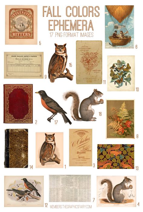 Fall Ephemera, Harry Potter Scrapbook, The Graphics Fairy, Free Vintage Printables, Collage Book, Decoupage Diy, Paper Collage Art, Glue Book, Graphics Fairy